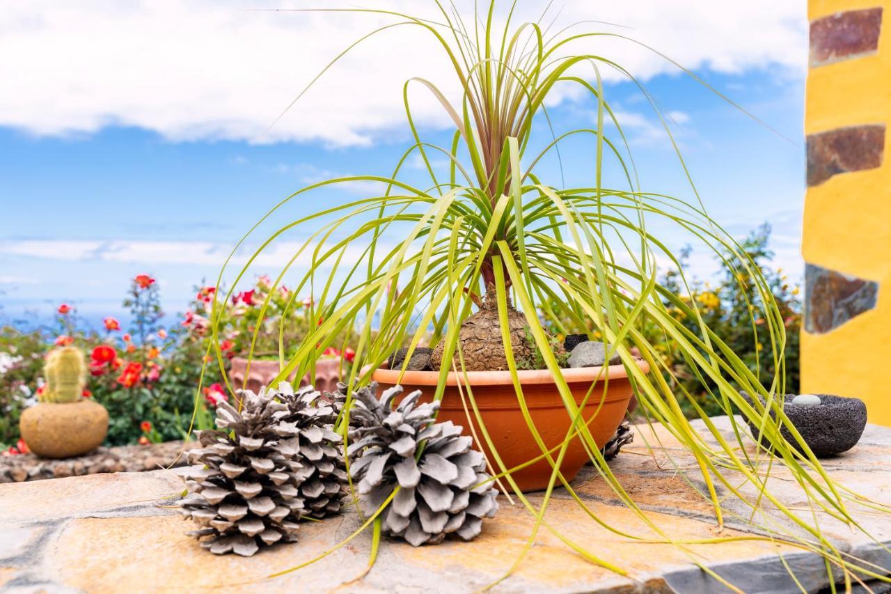 El Palmeral Tinizara Luaran gambar