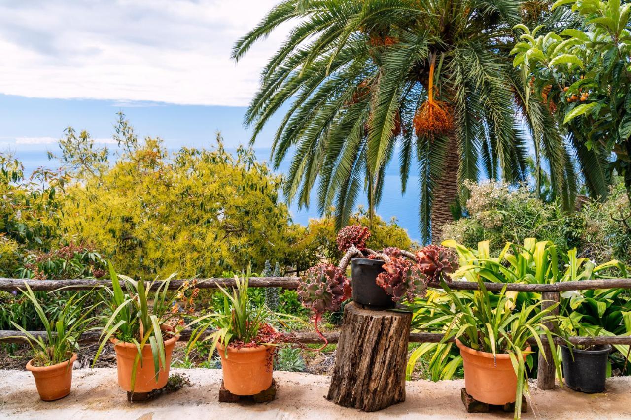 El Palmeral Tinizara Luaran gambar